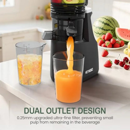 Cold Press Juicer for Whole Vegetables &amp; Fruits