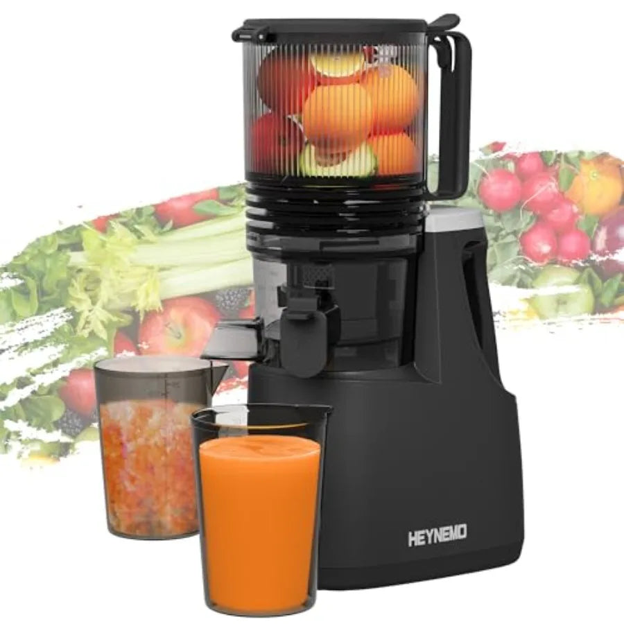 Cold Press Juicer for Whole Vegetables &amp; Fruits