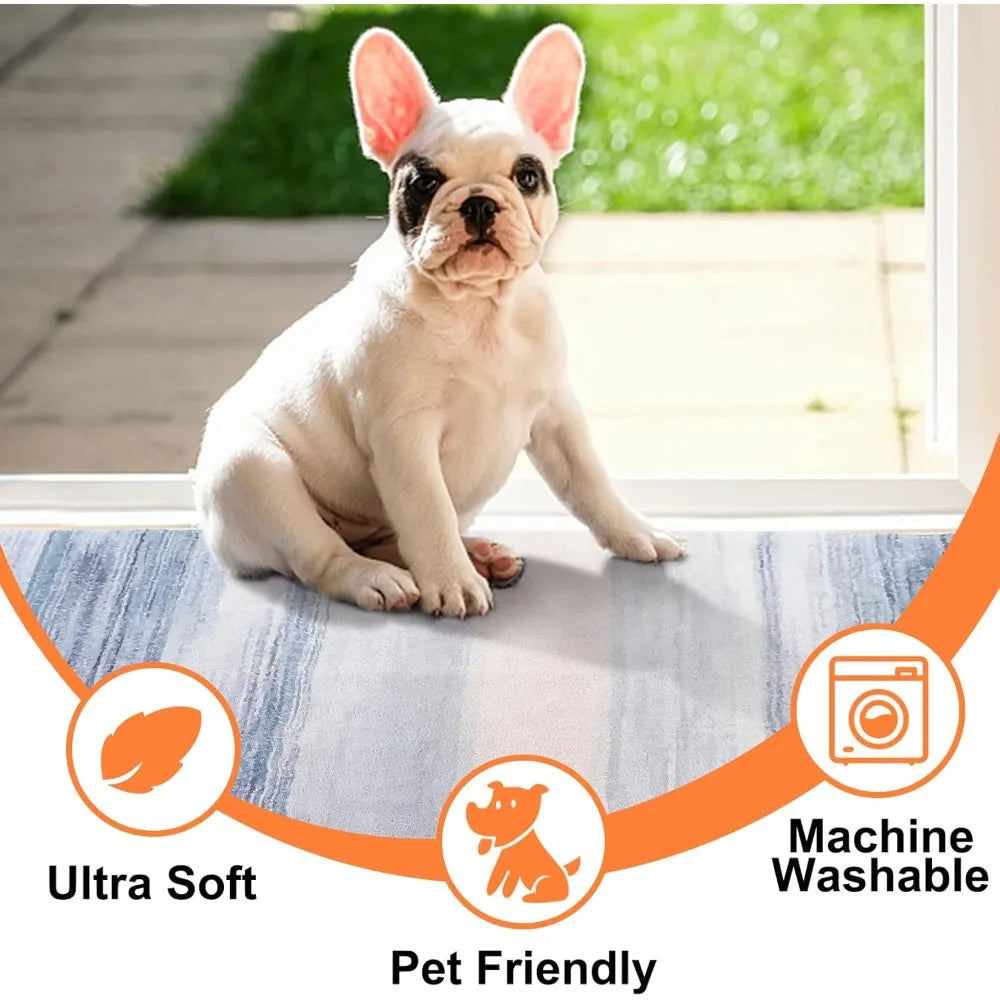 Front Indoor Non-Slip Absorbent Entryway Door Mat