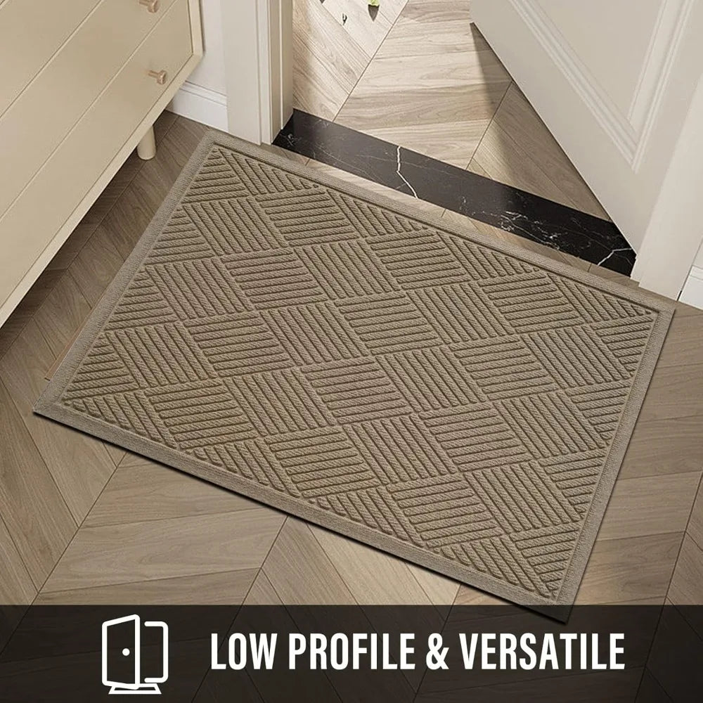 Front Absorbent Indoor/Outdoor Door Mat, Mud & Dirt Resistant
