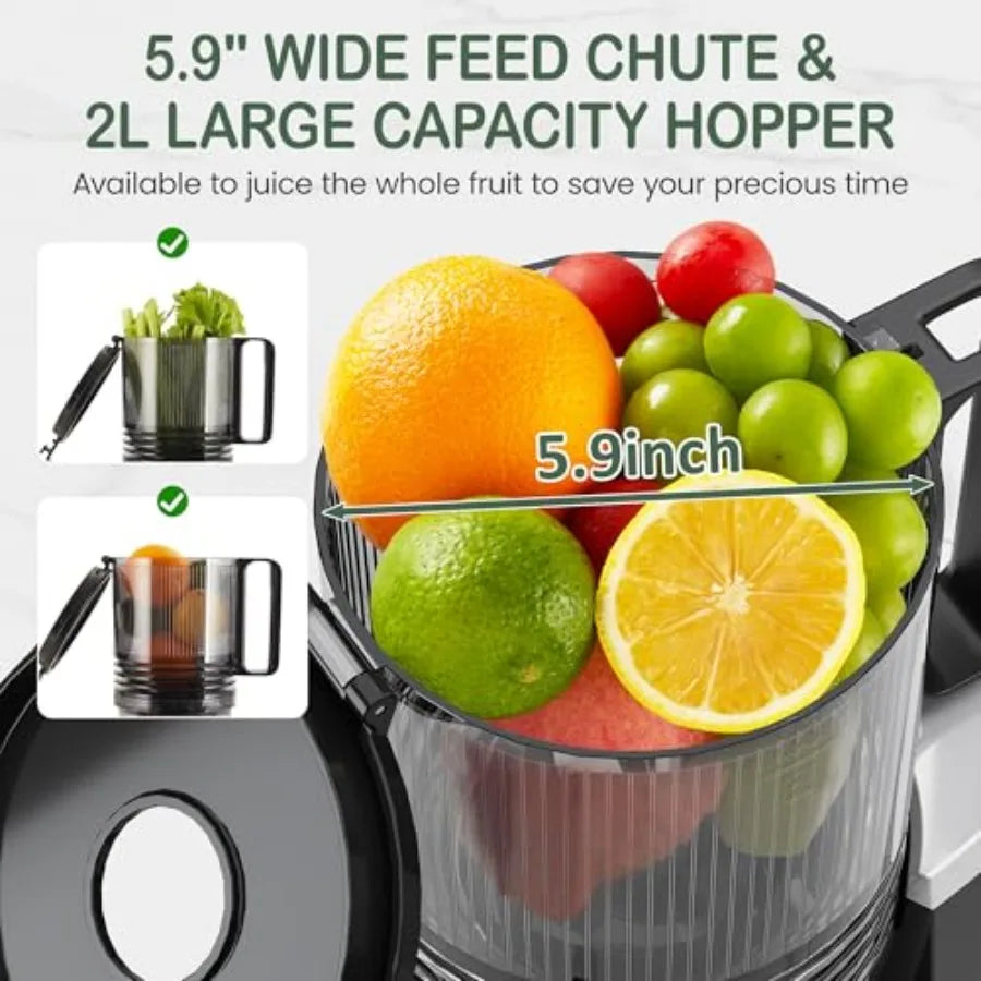 Cold Press Juicer for Whole Vegetables &amp; Fruits